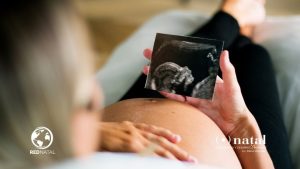 embarazada proyecto natal red natal doulas psicologa perinatal